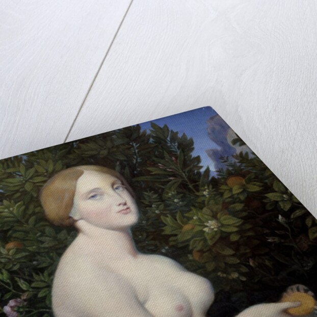 Venus at Paphos by Jean-Auguste-Dominique Ingres and Alexandre Desgoffes by Anonymous