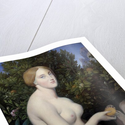 Venus at Paphos by Jean-Auguste-Dominique Ingres and Alexandre Desgoffes by Anonymous