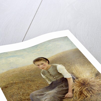 The little gleaner by Hugo Salmson