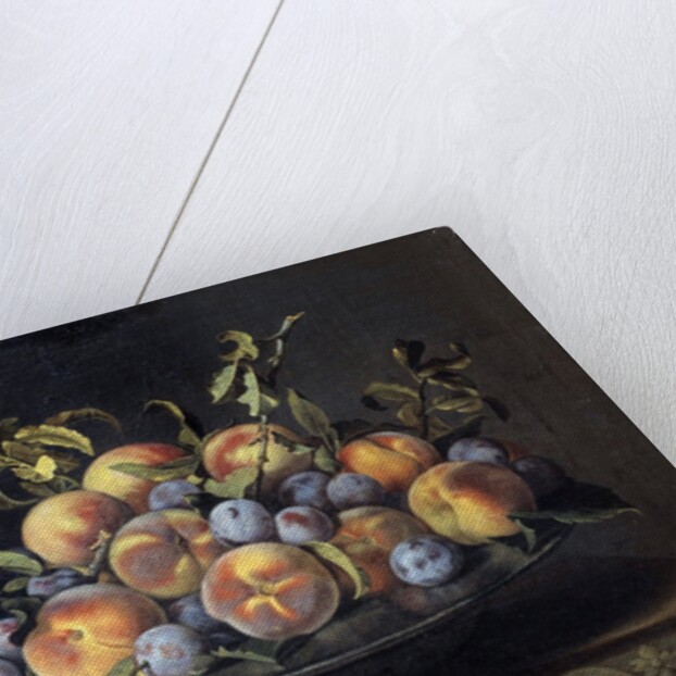 Peaches and plums in a pewter plate by Pierre Dupuis