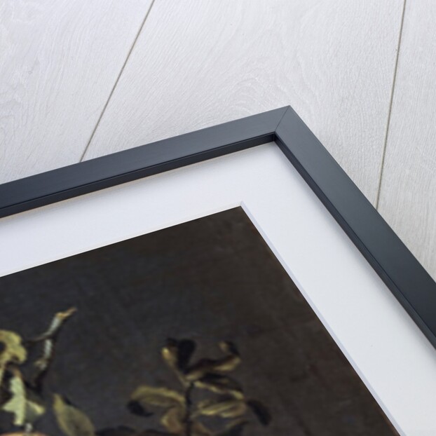 Peaches and plums in a pewter plate by Pierre Dupuis