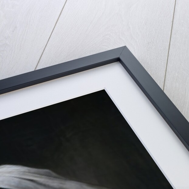 Odalisque (Odalisca) by Francesco Hayez