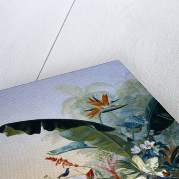 Exotic flowers by Jean Benner