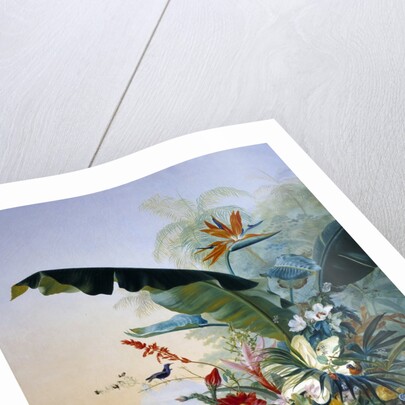 Exotic flowers by Jean Benner