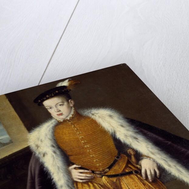 Portrait of Prince Don Carlos by Alonso Sanchez Coello