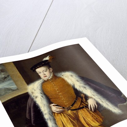Portrait of Prince Don Carlos by Alonso Sanchez Coello