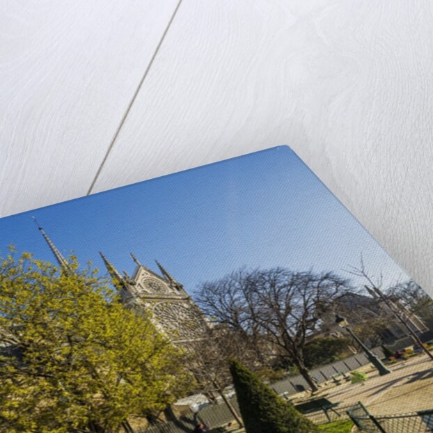 La Cite, small garden near the Cathedrale (cathedral) de Notre Dame by Anonymous