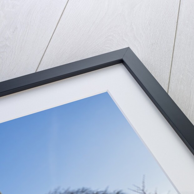 La Cite, small garden near the Cathedrale (cathedral) de Notre Dame by Anonymous