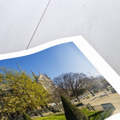 La Cite, small garden near the Cathedrale (cathedral) de Notre Dame by Anonymous