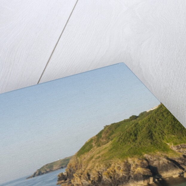 Lizard Peninsula, Cadwight by Anonymous