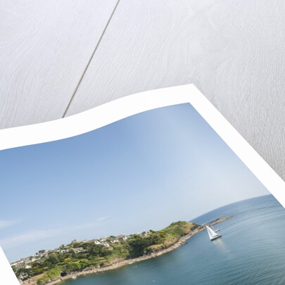 View of Polruan from Fowey by Anonymous