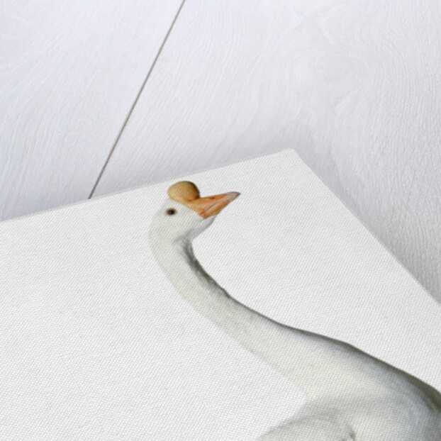 Chinese Goose by Anonymous