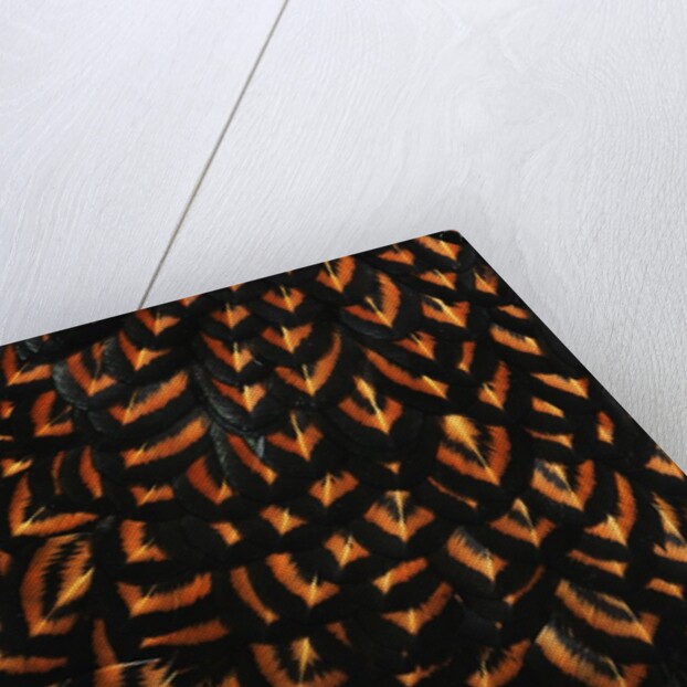 Doubled Laced feather pattern by Anonymous