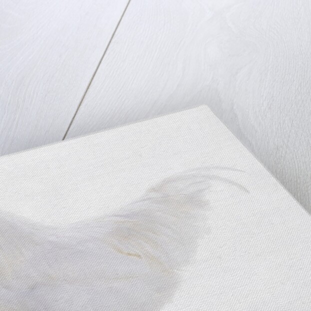 Sussex Bantam by Anonymous