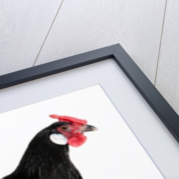 Hamburg/Hamburgh by Anonymous