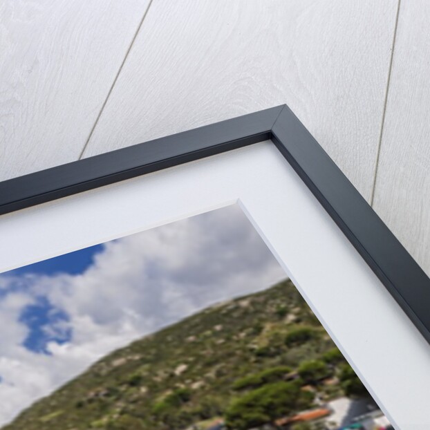 Elba Island - View of Cavoli beach by Anonymous