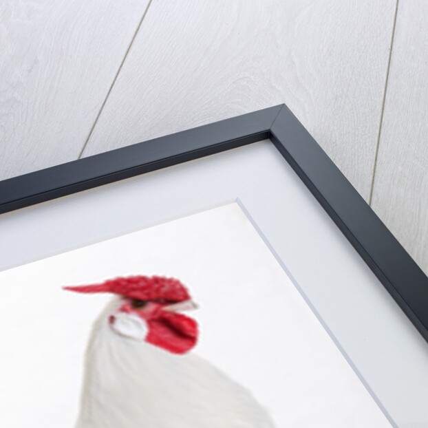 Hamburg/Hamburgh by Anonymous