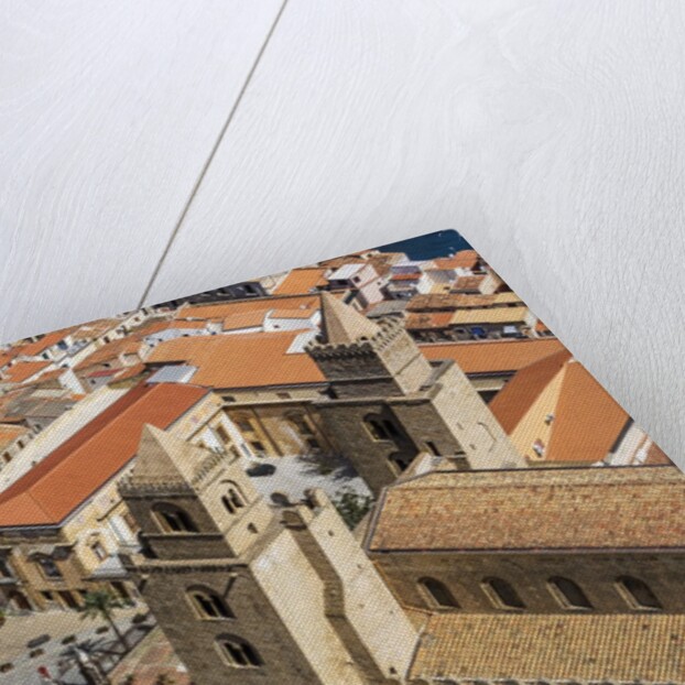 The roofs of old town and the towers of the Duomo (Cathedral) from the Rocca (fortress) by Anonymous