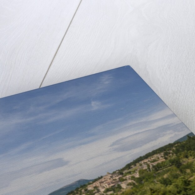 Lavender fields near Aurel by Anonymous