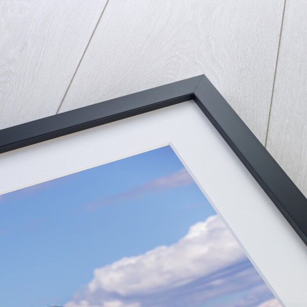 Seattle Skyline by Anonymous