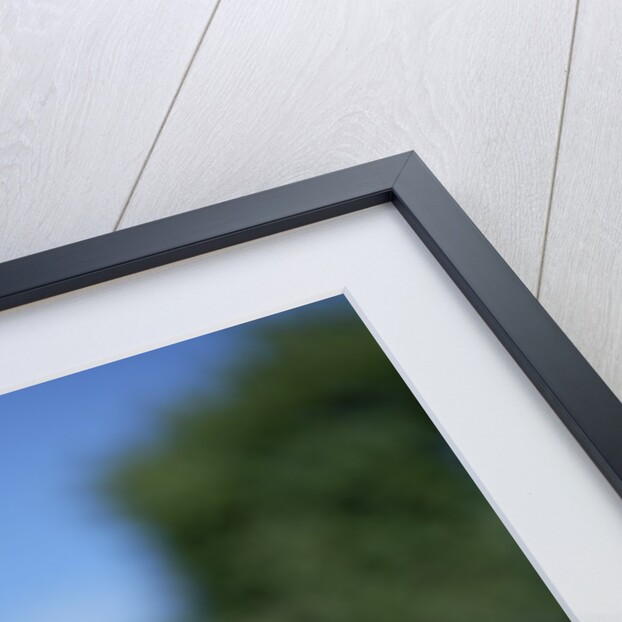 NC State Garden's Raleigh, NC by Anonymous