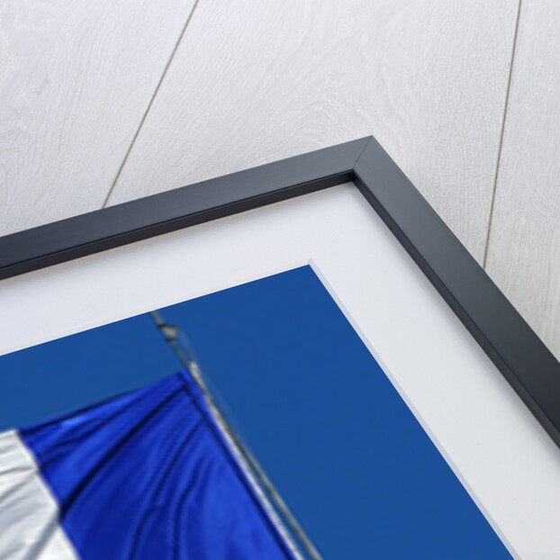 French flag by Anonymous