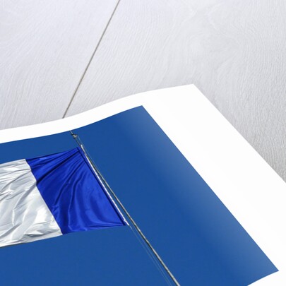 French flag by Anonymous