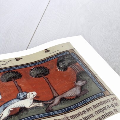 Wolf hunting, 14th century by Anonymous