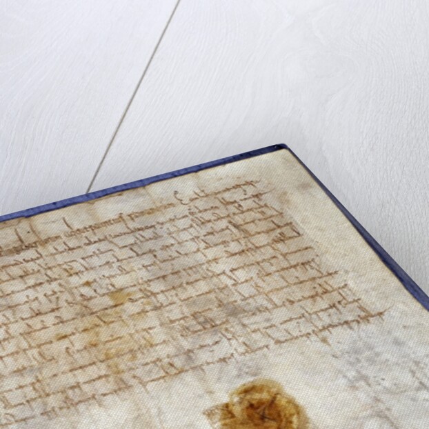 The grant from Charlemagne to the Abbey of Saint Denis by Anonymous