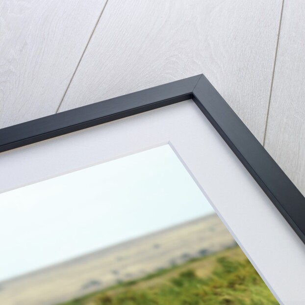 Kenya, Amboseli National Park, 2 female ostrich by Anonymous