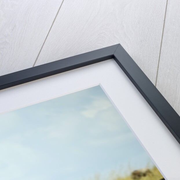 Kenya, Masai Mara National Reserve, rear view of zebras looking at the plain by Anonymous