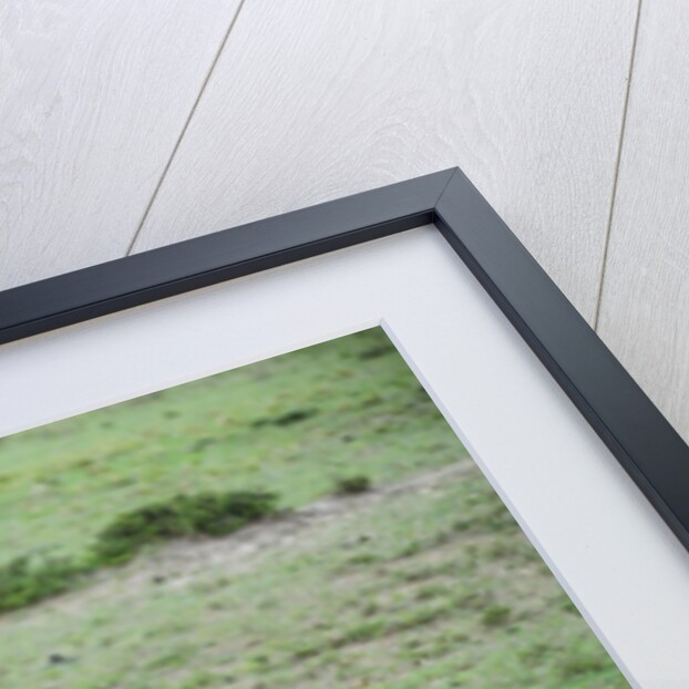 Kenya, Masai Mara National Reserve, hyena mating by Anonymous