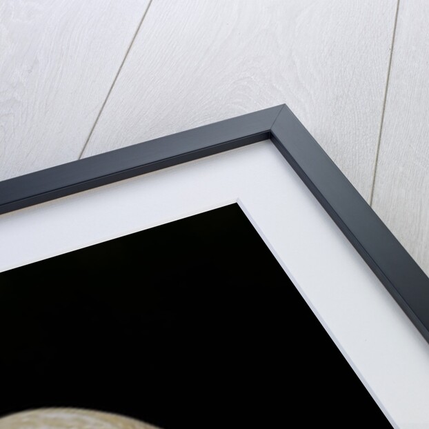 Glossus humanus by Anonymous