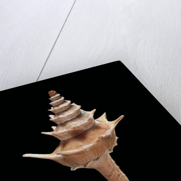 Columbarium pagoda by Anonymous