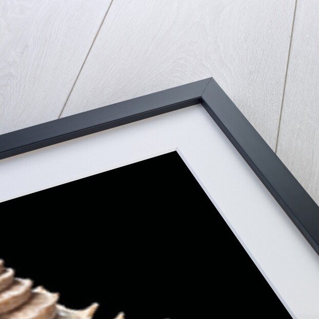 Columbarium pagoda by Anonymous