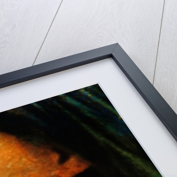 Little Girl by Anonymous