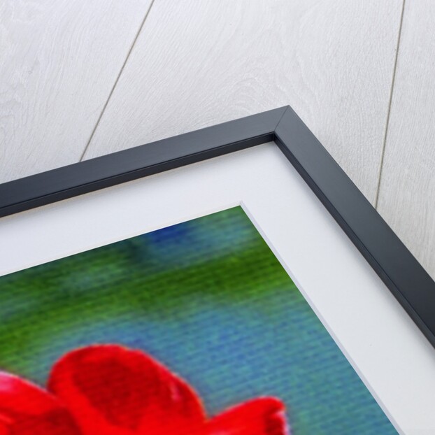 Red Flower by Anonymous