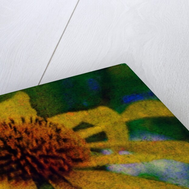 Yellow Flower by Anonymous