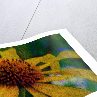 Yellow Flower by Anonymous