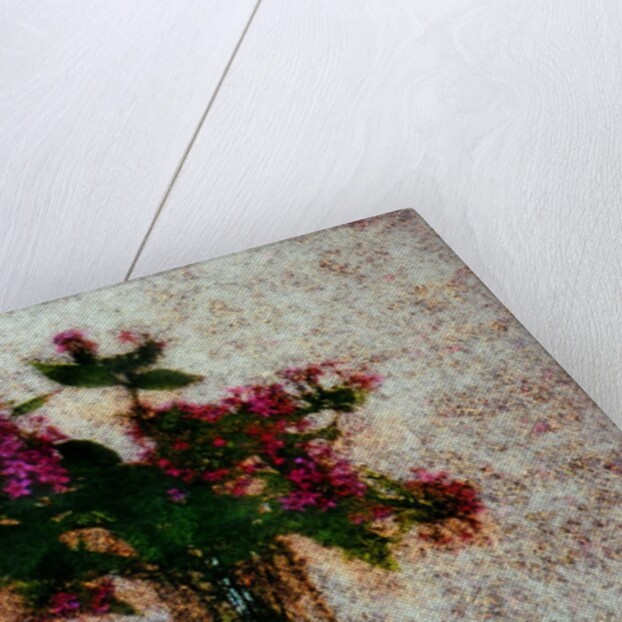 Flower Pot by Anonymous