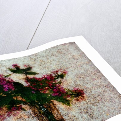 Flower Pot by Anonymous