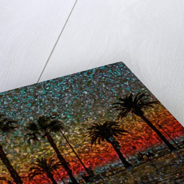 Sunset and Coconut Trees by Anonymous
