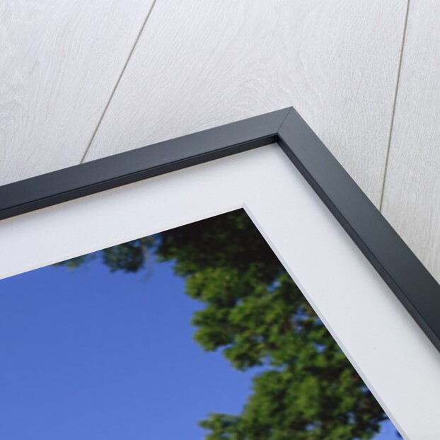 Wavel Hill, Royal Castle, Old Town, Krakow, Poland by Anonymous