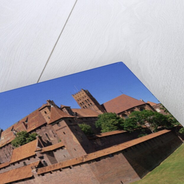 Malbork Castle, Malbork, Poland by Anonymous