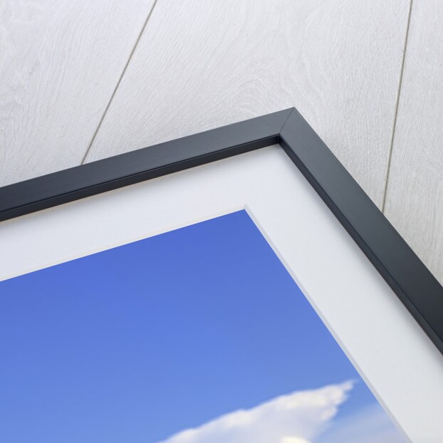 Riga Radio and TV Tower, Daugava River, Riga, Latvia by Anonymous