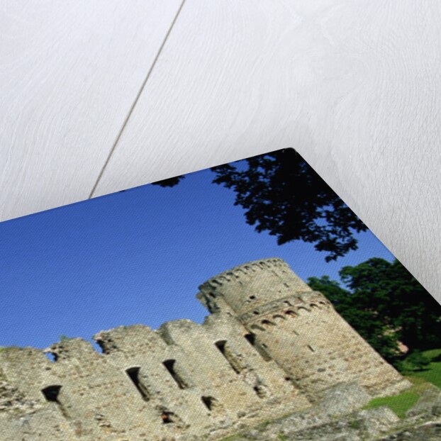 Cesis Medieval Castle, Cesis, Latvia by Anonymous