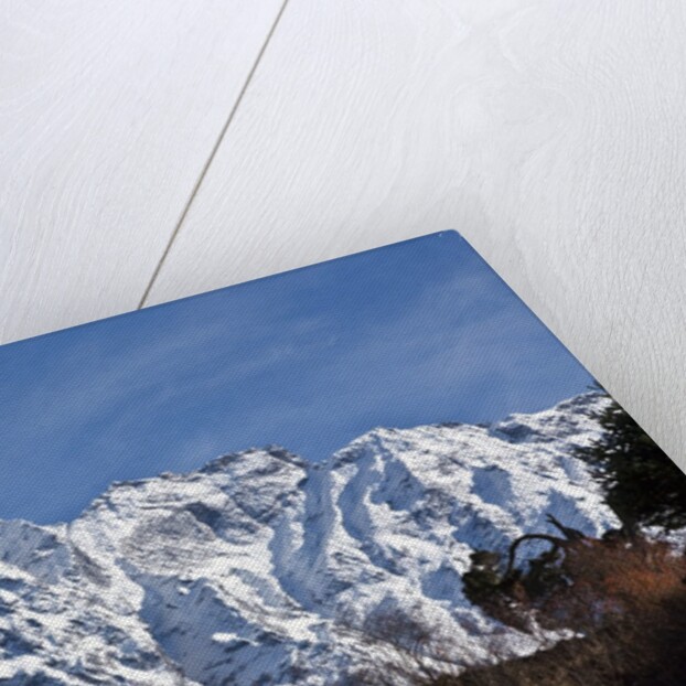 Simnang Himal by Anonymous