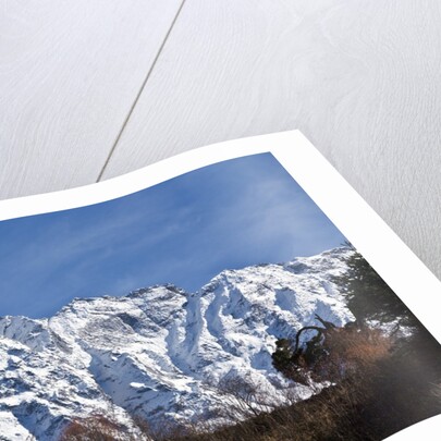 Simnang Himal by Anonymous