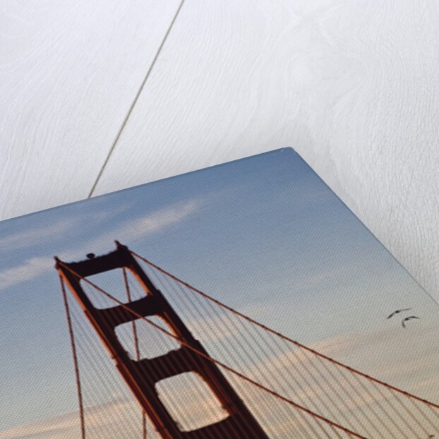 SAN_FRANCISCO_D260 by Anonymous