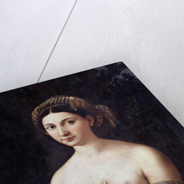Portrait of a Young Woman or La Fornarina by Raphael